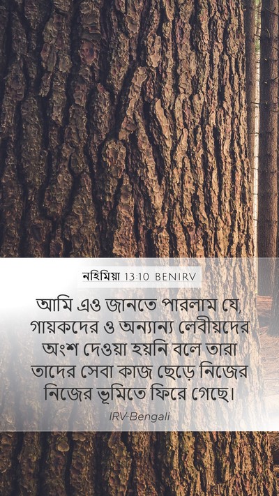 নহিমিয়া 13:10 BENIRV Bible Verse Image