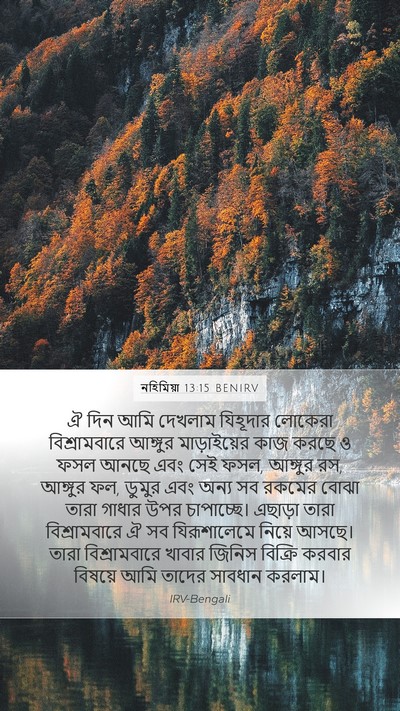নহিমিয়া 13:15 BENIRV Bible Verse Image