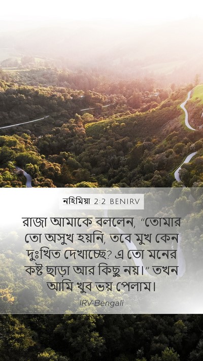 নহিমিয়া 2:2 BENIRV Bible Verse Image