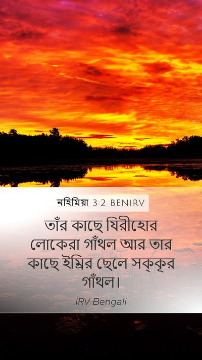 নহিমিয়া 3:2 BENIRV Mobile Phone Wallpaper - তাঁর কাছে যিরীহোর - Mobile Bible Verse Wallpaper