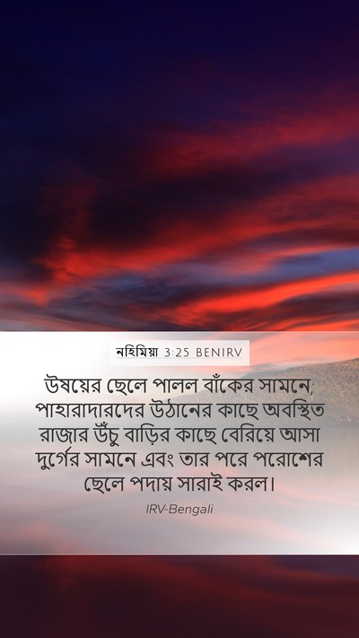 নহিমিয়া 3:25 BENIRV Bible Verse Image