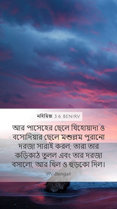 নহিমিয়া 3:6 BENIRV Bible Verse Image