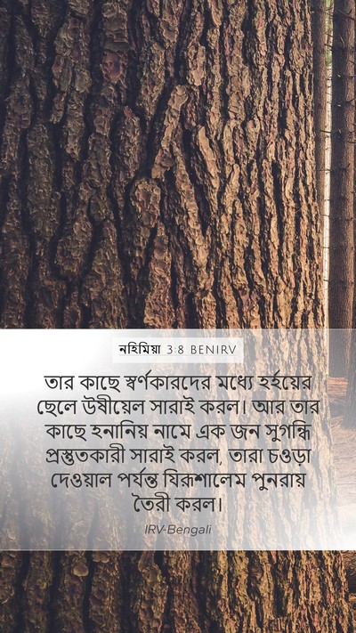 নহিমিয়া 3:8 BENIRV Bible Verse Image