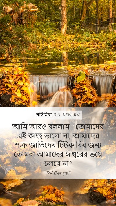 নহিমিয়া 5:9 BENIRV Bible Verse Image