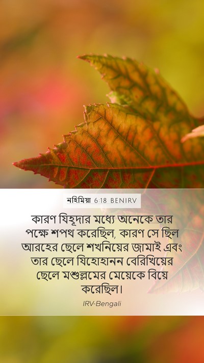 নহিমিয়া 6:18 BENIRV Bible Verse Image