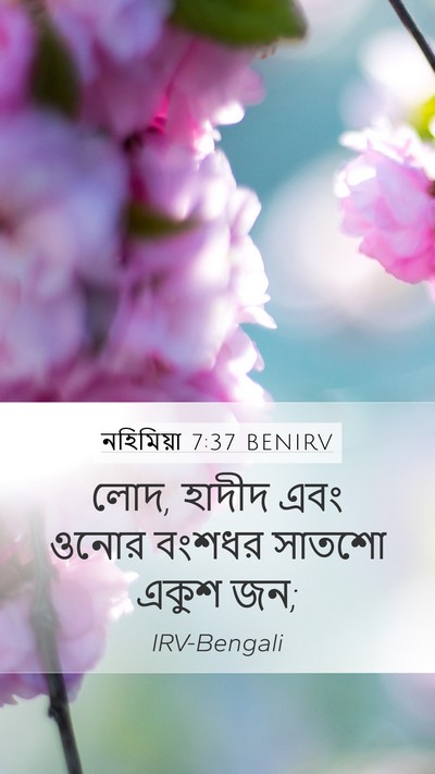 নহিমিয়া 7:37 BENIRV Mobile Phone Wallpaper - লোদ, হাদীদ এবং ওনোর - Mobile Bible Verse Wallpaper