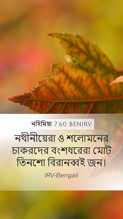 নহিমিয়া 7:60 BENIRV Bible Verse Image