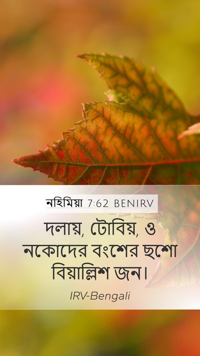 নহিমিয়া 7:62 BENIRV Mobile Phone Wallpaper - দলায়, টোবিয়, ও - Mobile Bible Verse Wallpaper