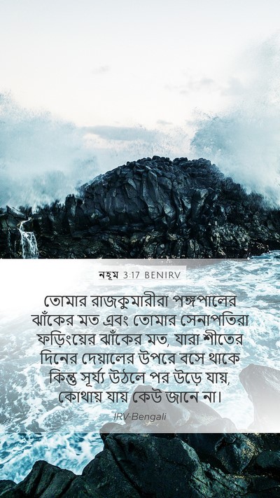 নহূম 3:17 BENIRV Bible Verse Image