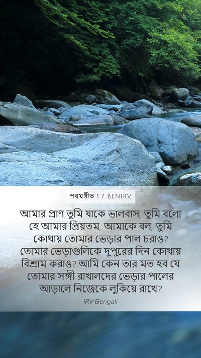 পৰমগীত 1:7 BENIRV Bible Verse Image