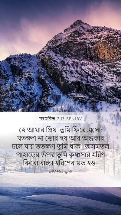 পৰমগীত 2:17 BENIRV Bible Verse Image