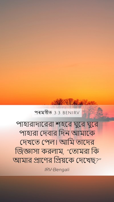 পৰমগীত 3:3 BENIRV Mobile Phone Wallpaper - পাহারাদারেরা শহরে - Mobile Bible Verse Wallpaper