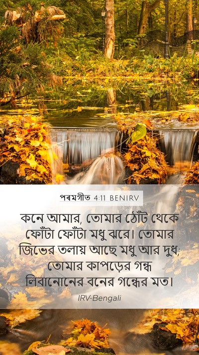 পৰমগীত 4:11 BENIRV Bible Verse Image