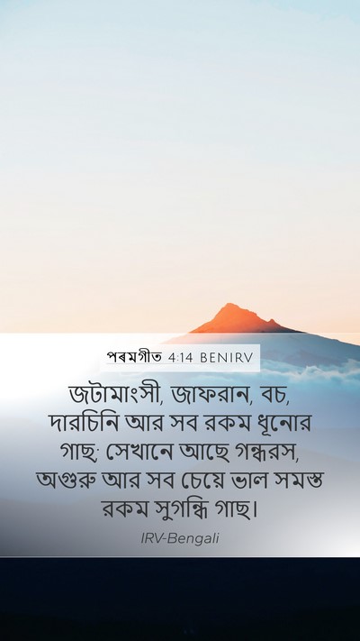 পৰমগীত 4:14 BENIRV Bible Verse Image