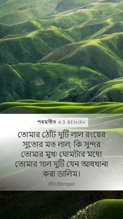 পৰমগীত 4:3 BENIRV Bible Verse Image