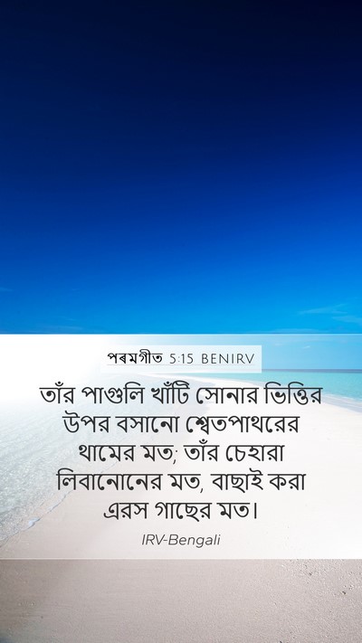 পৰমগীত 5:15 BENIRV Bible Verse Image