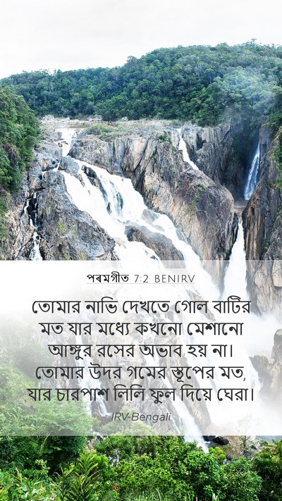 পৰমগীত 7:2 BENIRV Mobile Phone Wallpaper - তোমার নাভি দেখতে - Mobile Bible Verse Wallpaper