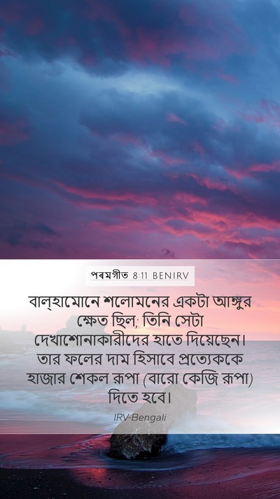 পৰমগীত 8:11 BENIRV Bible Verse Image