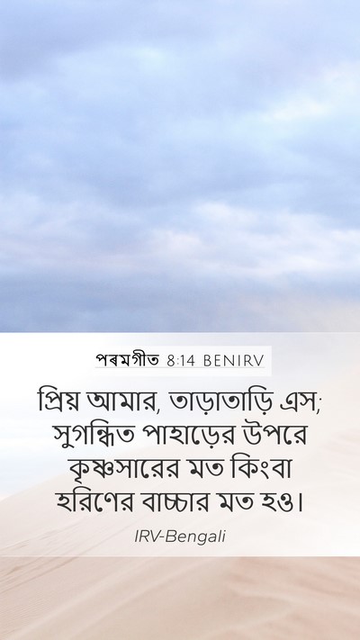 পৰমগীত 8:14 BENIRV Bible Verse Image