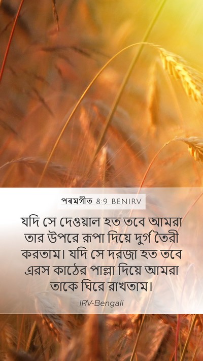 পৰমগীত 8:9 BENIRV Mobile Phone Wallpaper - যদি সে দেওয়াল হত - Mobile Bible Verse Wallpaper