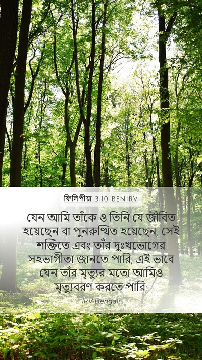 ফিলিপীয়া 3:10 BENIRV Bible Verse Image