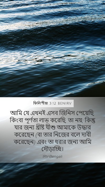 ফিলিপীয়া 3:12 BENIRV Bible Verse Image