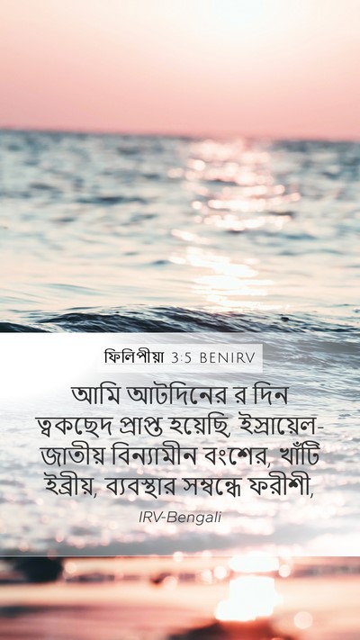 ফিলিপীয়া 3:5 BENIRV Bible Verse Image