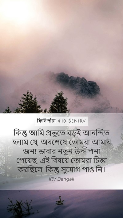 ফিলিপীয়া 4:10 BENIRV Bible Verse Image