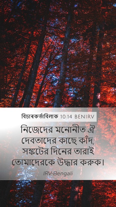 বিচাৰকর্তাবিলাক 10:14 BENIRV Bible Verse Image