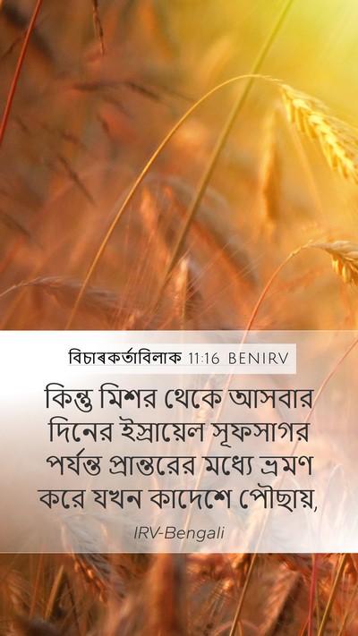 বিচাৰকর্তাবিলাক 11:16 BENIRV Bible Verse Image