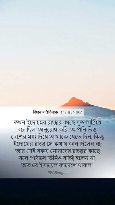 বিচাৰকর্তাবিলাক 11:17 BENIRV Bible Verse Image
