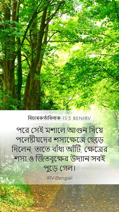 বিচাৰকর্তাবিলাক 15:5 BENIRV Mobile Phone Wallpaper - পরে সেই মশালে আগুন - Mobile Bible Verse Wallpaper