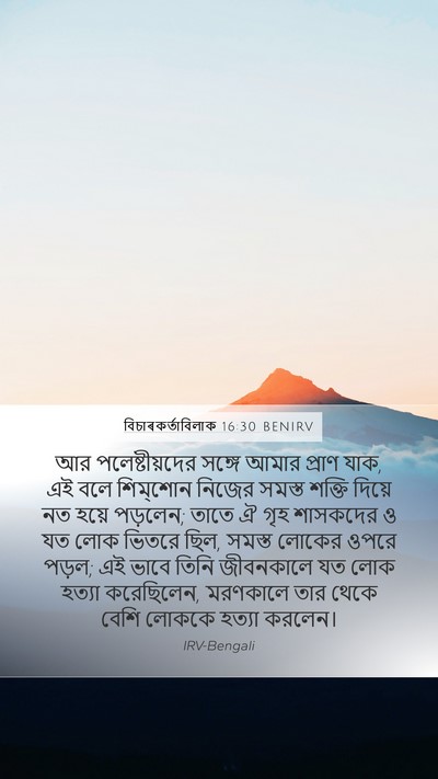 বিচাৰকর্তাবিলাক 16:30 BENIRV Bible Verse Image
