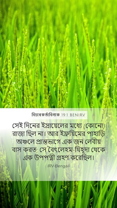 বিচাৰকর্তাবিলাক 19:1 BENIRV Bible Verse Image