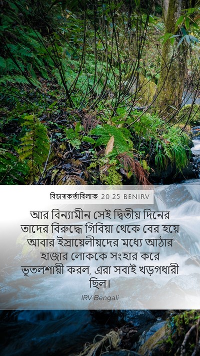 বিচাৰকর্তাবিলাক 20:25 BENIRV Bible Verse Image