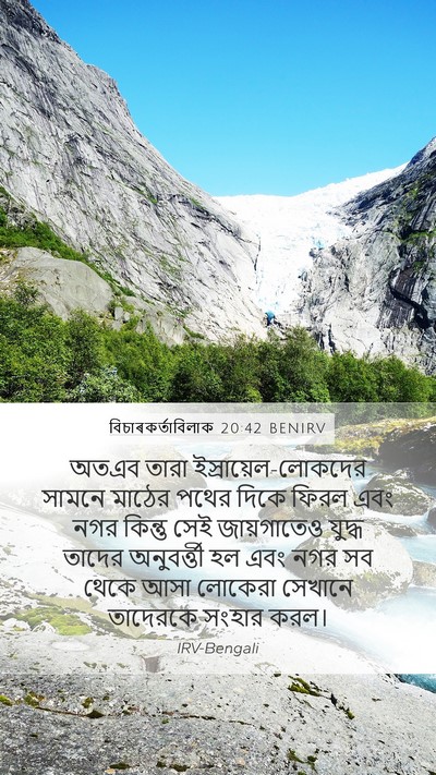 বিচাৰকর্তাবিলাক 20:42 BENIRV Mobile Phone Wallpaper - অতএব তারা - Mobile Bible Verse Wallpaper
