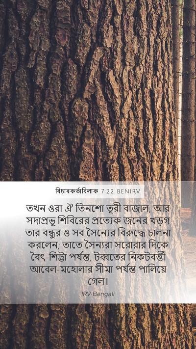 বিচাৰকর্তাবিলাক 7:22 BENIRV Bible Verse Image