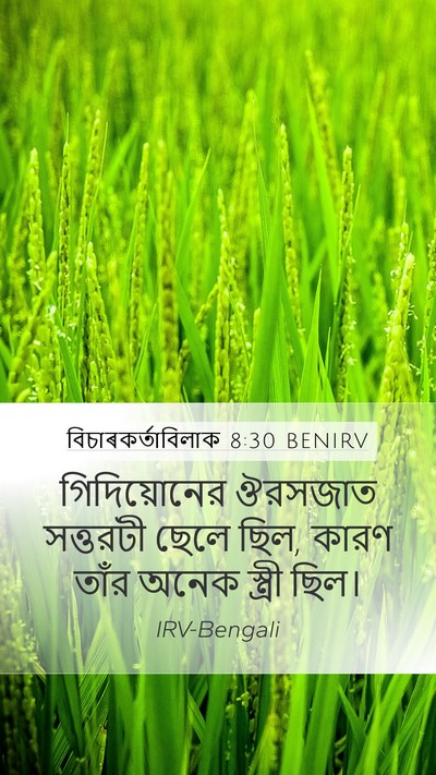 বিচাৰকর্তাবিলাক 8:30 BENIRV Bible Verse Image