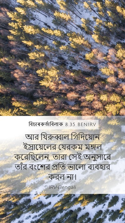 বিচাৰকর্তাবিলাক 8:35 BENIRV Bible Verse Image