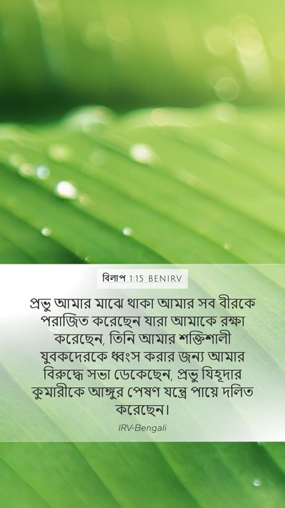 বিলাপ 1:15 BENIRV Bible Verse Image