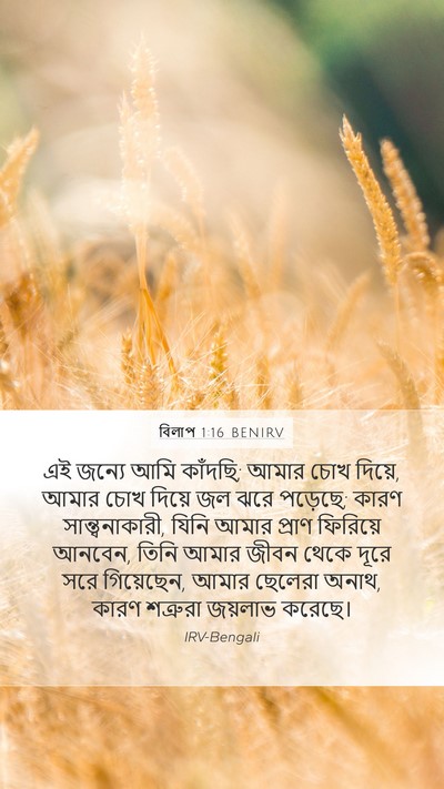 বিলাপ 1:16 BENIRV Bible Verse Image