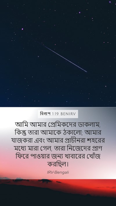 বিলাপ 1:19 BENIRV Bible Verse Image