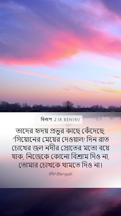 বিলাপ 2:18 BENIRV Bible Verse Image
