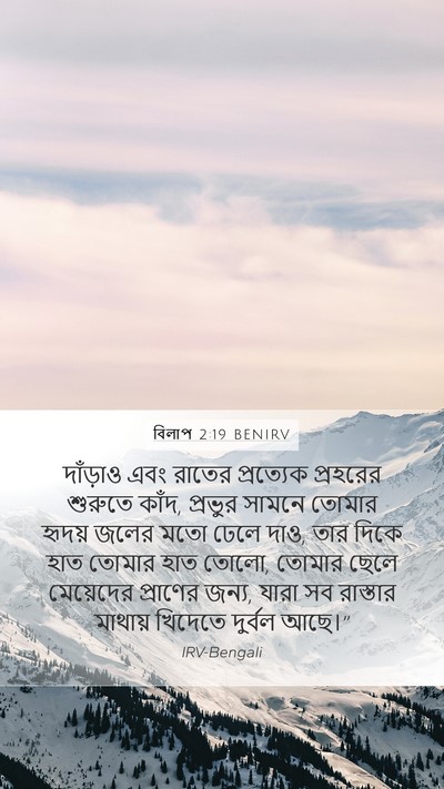 বিলাপ 2:19 BENIRV Bible Verse Image