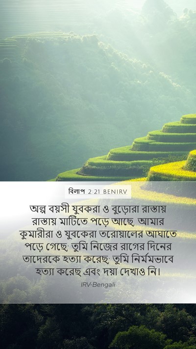 বিলাপ 2:21 BENIRV Bible Verse Image