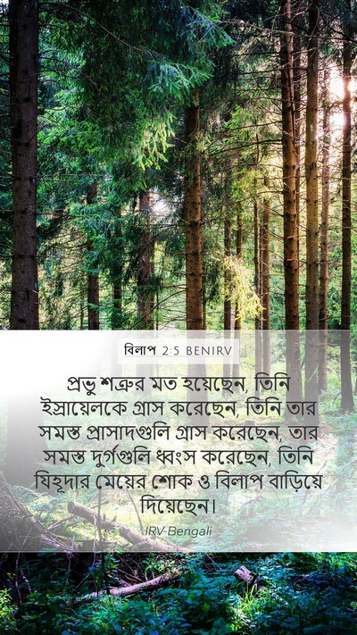 বিলাপ 2:5 BENIRV Bible Verse Image