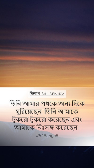বিলাপ 3:11 BENIRV Mobile Phone Wallpaper - তিনি আমার পথকে - Mobile Bible Verse Wallpaper