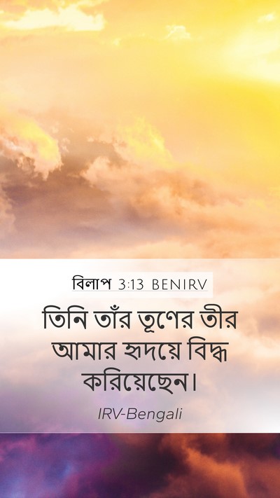 বিলাপ 3:13 BENIRV Bible Verse Image