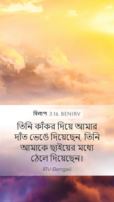 বিলাপ 3:16 BENIRV Mobile Phone Wallpaper - তিনি কাঁকর দিয়ে - Mobile Bible Verse Wallpaper