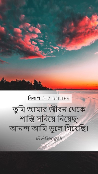 বিলাপ 3:17 BENIRV Mobile Phone Wallpaper - তুমি আমার জীবন - Mobile Bible Verse Wallpaper
